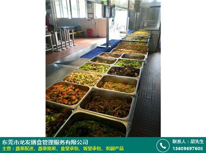 食堂承包行业的发展动态